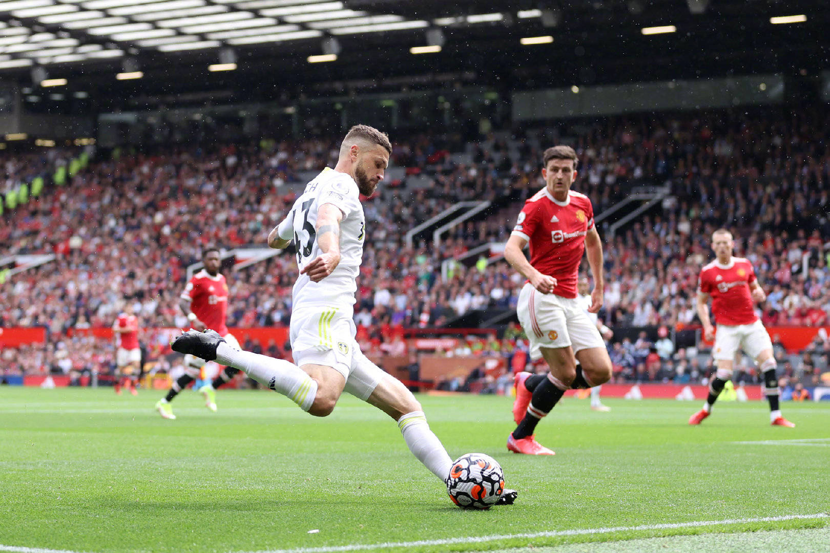 职业发展环 职业发展环